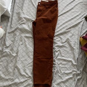 Brown Corduroy Pants